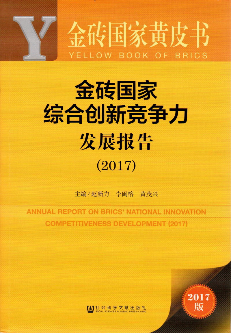 大骚B内射视频金砖国家综合创新竞争力发展报告（2017）